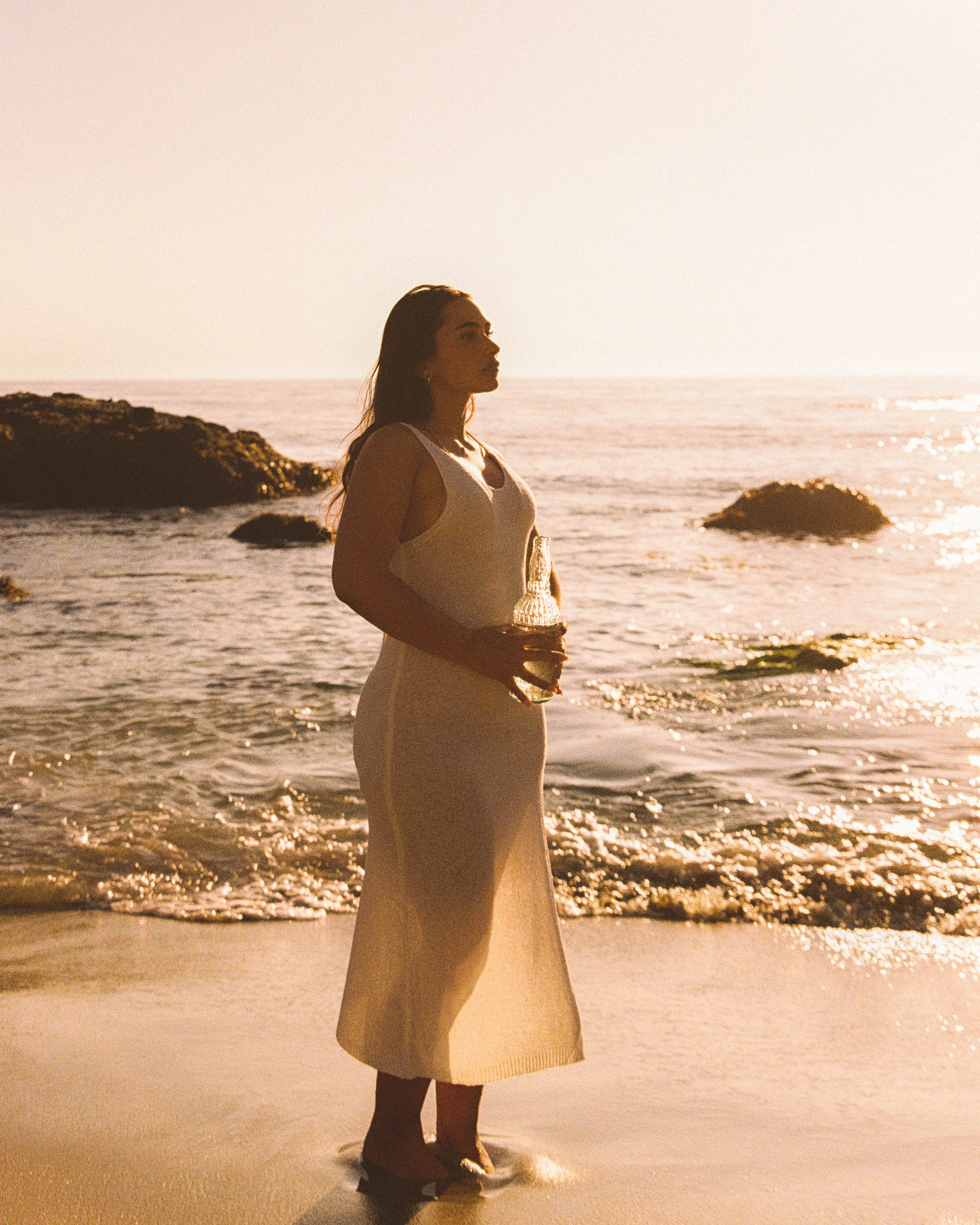 The Taylor - Image 3