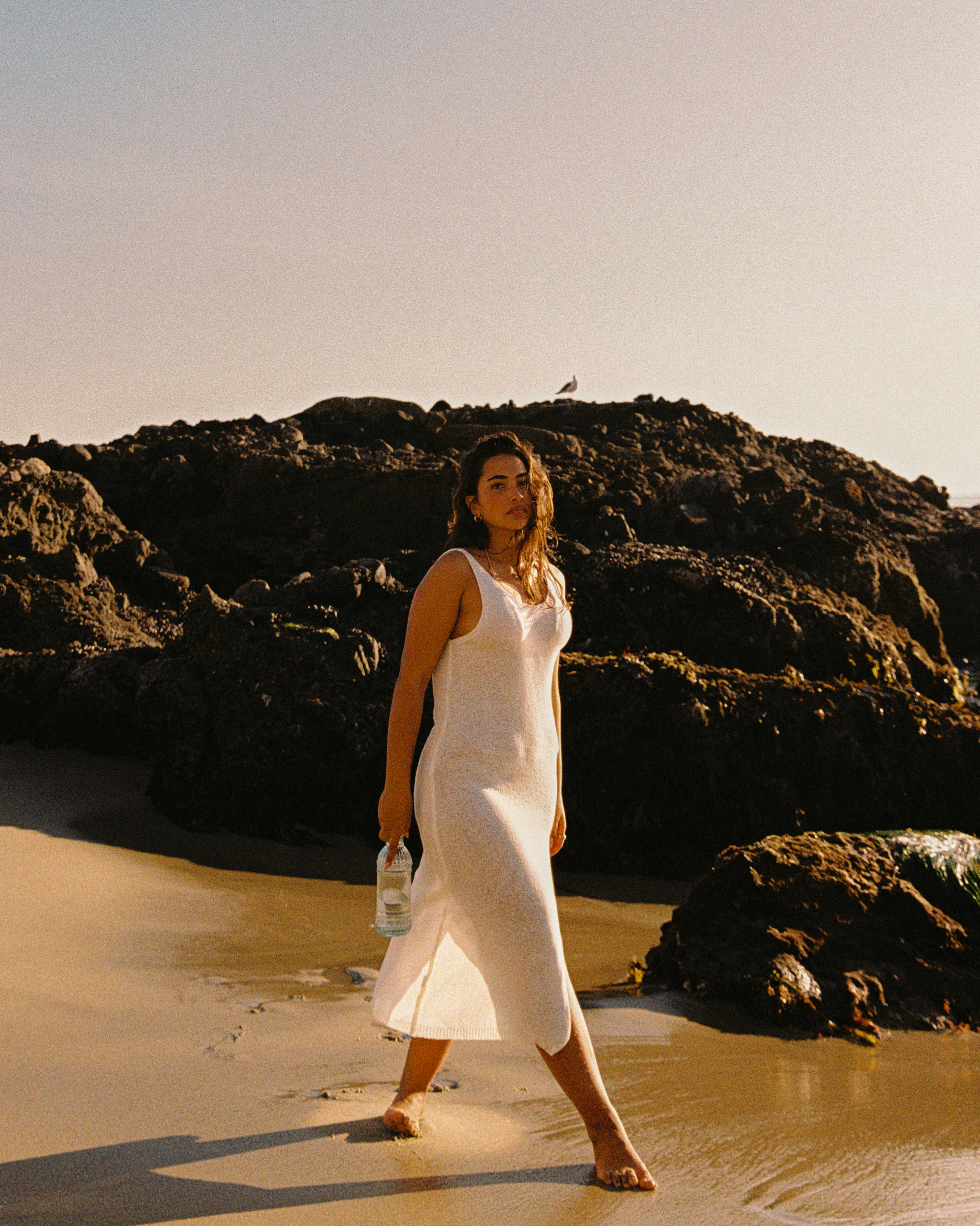 The Taylor - Image 4